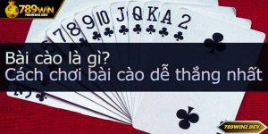 Game Bài Cào - Lựa Chọn Giải Trí Thú Vị Bậc Nhất 2024