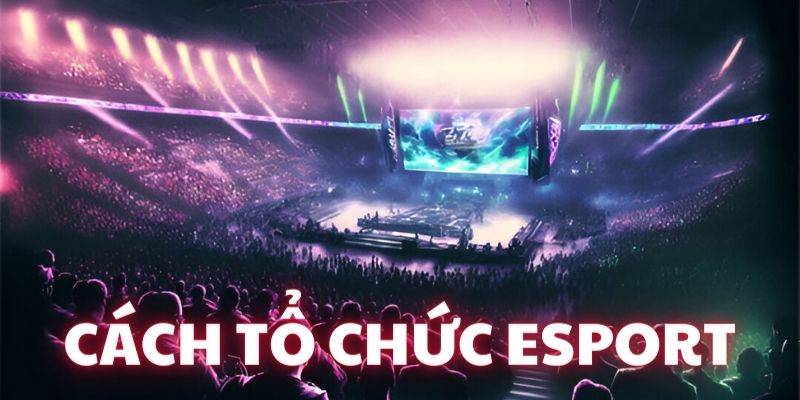 Nắm rõ esport là gì để tổ chức giải đấu thành công