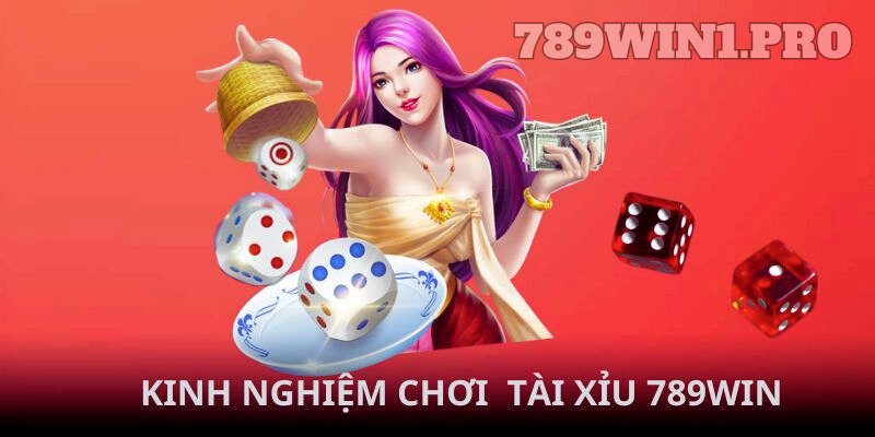 Những kinh nghiệm chơi tài xỉu 789win bách thắng