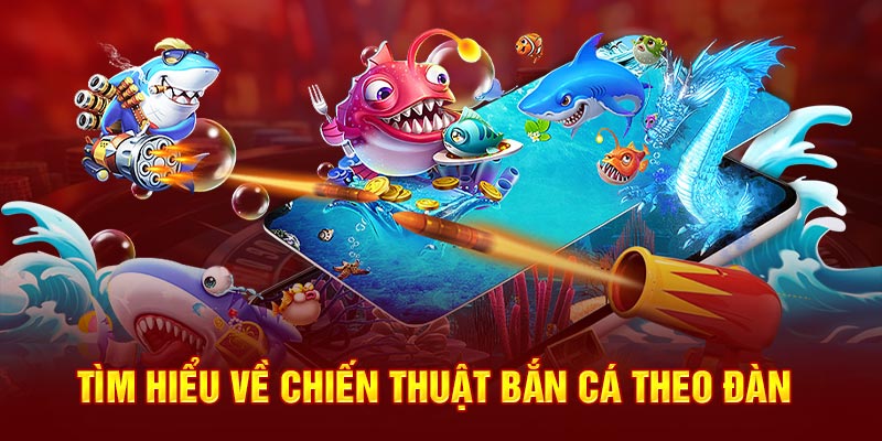 Tìm hiểu về chiến thuật bắn cá theo đàn