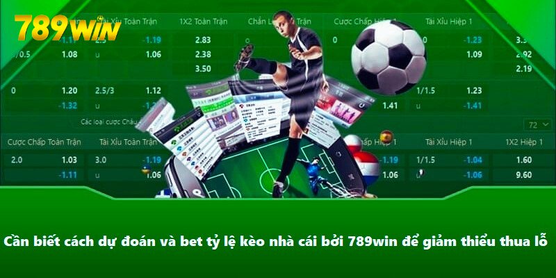 Cần rõ cách dự đoán và bet tỷ lệ kèo nhà cái bởi 789win để giảm thiểu thua lỗ