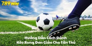 Hướng Dẫn Cách Đánh Kèo Rung Đơn Giản Cho Tân Thủ 789win