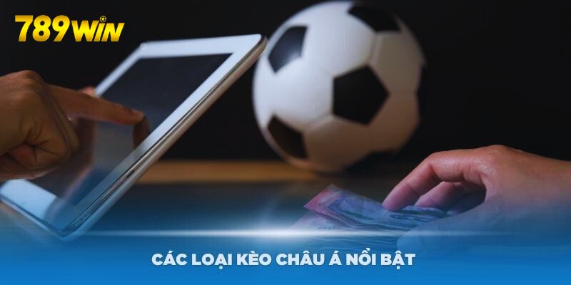 Các loại kèo châu Á nổi bật nhất mà bạn phải thử